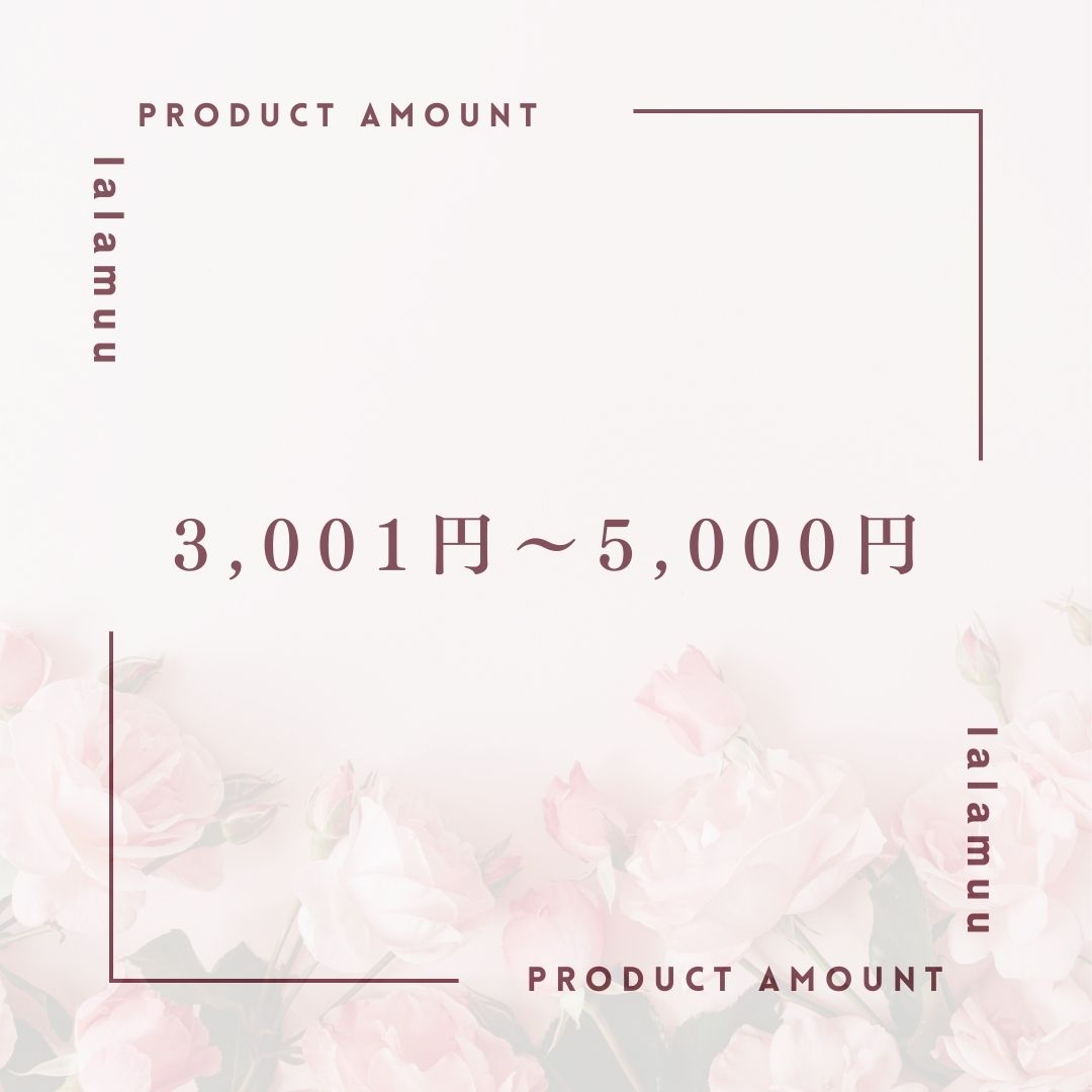 3,001円~5,000円