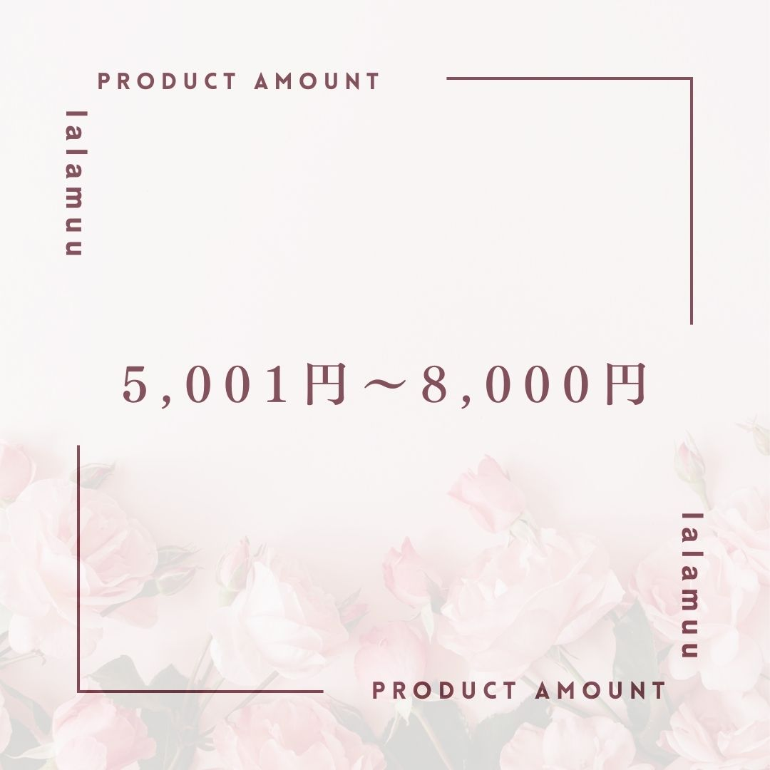 5,001円~8,000円